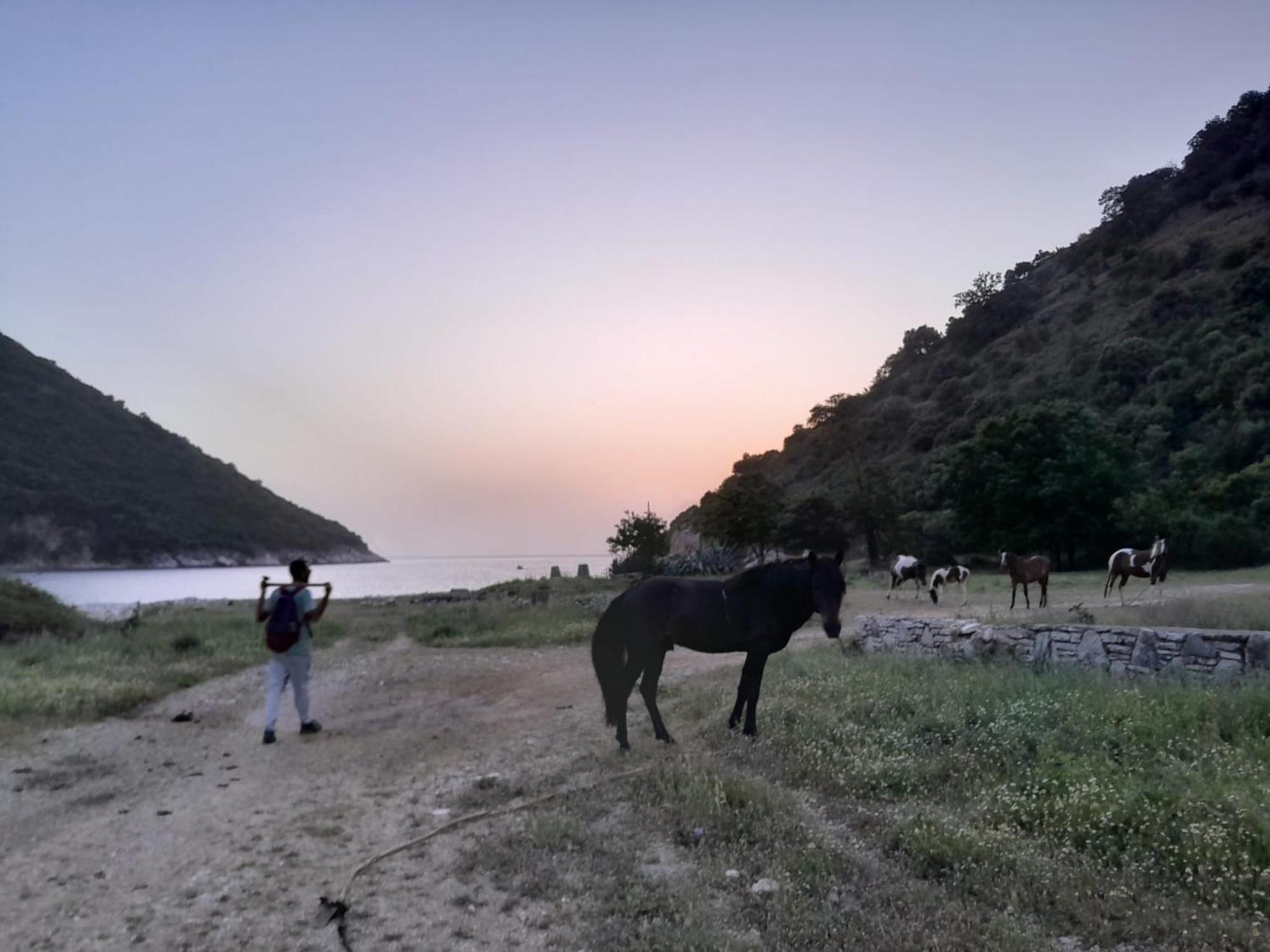 Lost Paradise Eco Camping ヒマラ エクステリア 写真